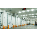 Kamar freezer bitzer untuk daging